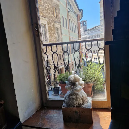 Foto di Bottega del Vino