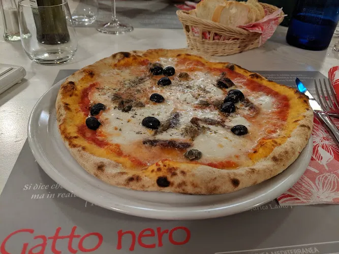 Gatto Nero