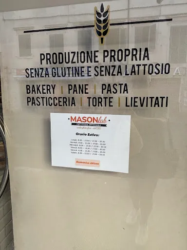 Foto di MasonLab