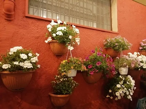 Foto di Pane e Salute Foggia
